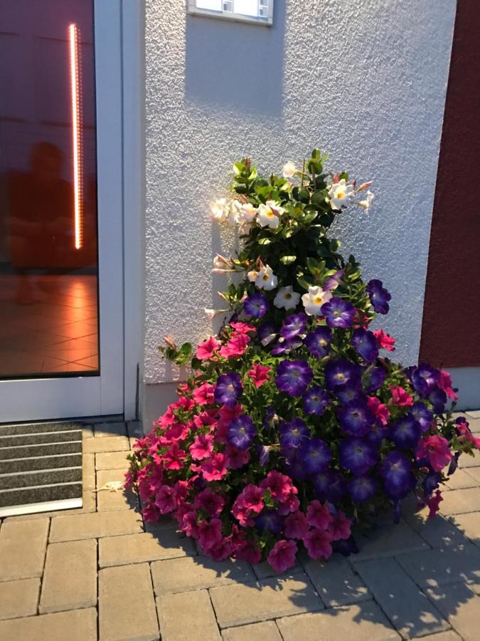 Ferienwohnungen Am Feldrain - Gornau Im Erzgebirge Zschopau Екстериор снимка