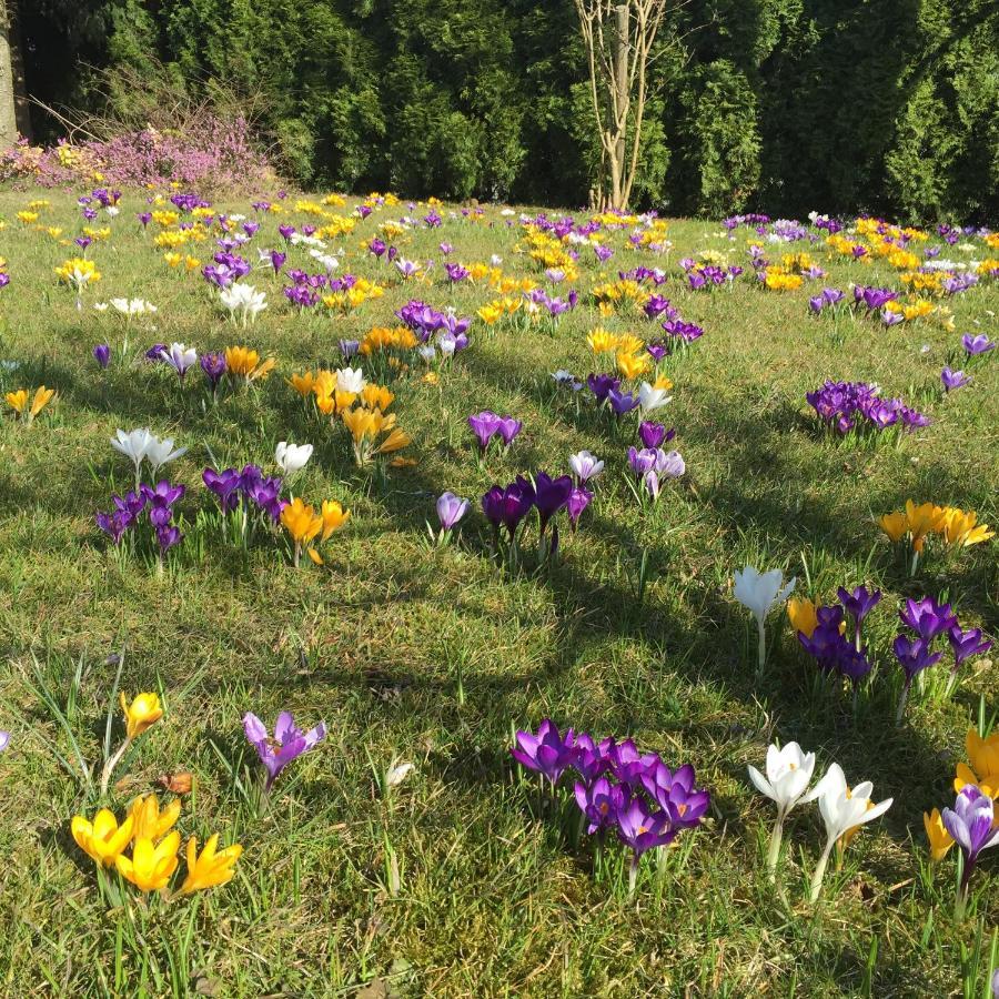 Ferienwohnungen Am Feldrain - Gornau Im Erzgebirge Zschopau Екстериор снимка